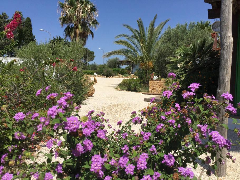 Bed and Breakfast Il Colle Del Rustico Agrigent Exterior foto
