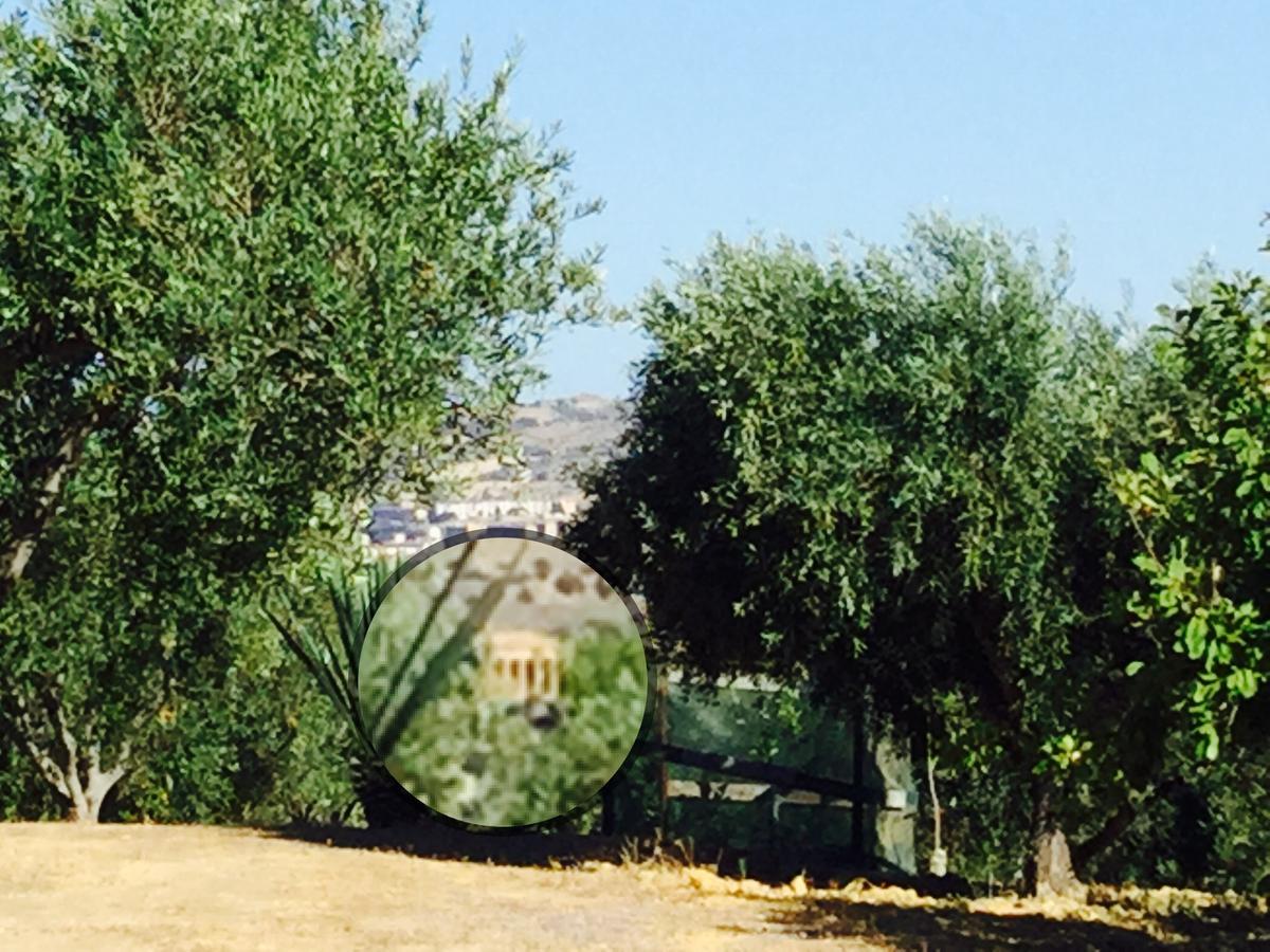 Bed and Breakfast Il Colle Del Rustico Agrigent Exterior foto
